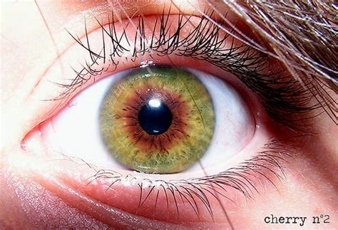 Geeky Science Mom's Tumblr | Heterochromia eyes, Rare eyes, Eye photography