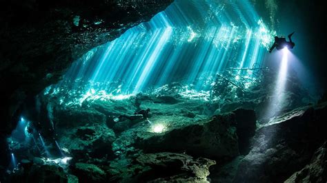 Cenote Diving: Exploring Nature's Hidden Treasures - Scuba.com