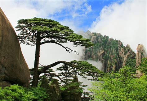 IUCN Green List Mount Huangshan Scenic Area - IUCN Green List