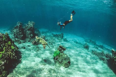 Best Spots for Snorkeling in Costa Rica - Travel Dudes