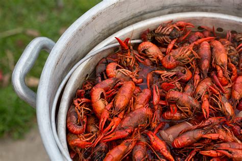 Boiling Basics: How to Boil Crawfish for Beginners - Acadia Crawfish