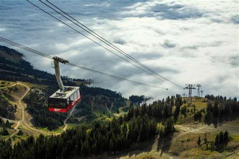 Jackson Hole: Aerial Tram and Gondolas Admission Ticket | GetYourGuide