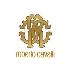 380 Roberto Cavalli ideas | roberto cavalli, cavalli, fashion