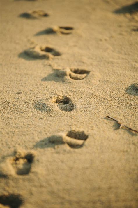 123 Kids Footprints Beach Stock Photos - Free & Royalty-Free Stock Photos from Dreamstime