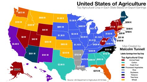 United States of Agriculture: Top Agricultural Crop in Each State : maps