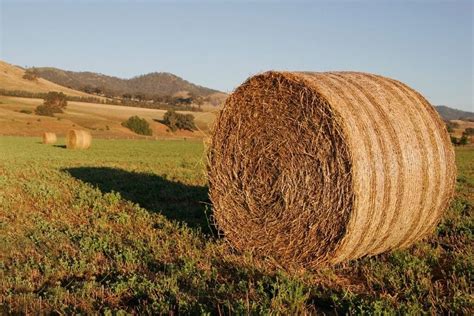 Round bales for sale | in Blairgowrie, Perth and Kinross | Gumtree