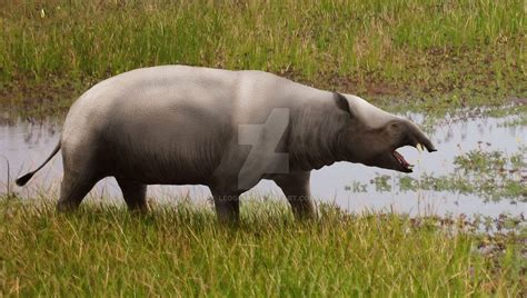 Moeritherium ('the beast from Lake Moeris') is a genus consisting of ...