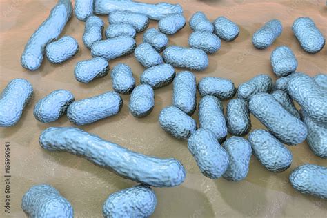 Bacterium Acinetobacter baumannii, multidrug resistant nosocomial bacterium. 3D illustration ...