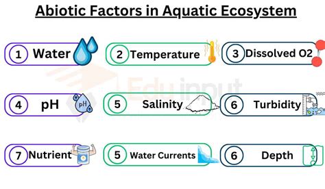 Abiotic Factors in Aquatic Ecosystem