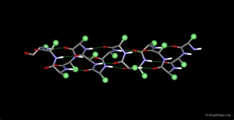 Protein Structure - Drug Design Org