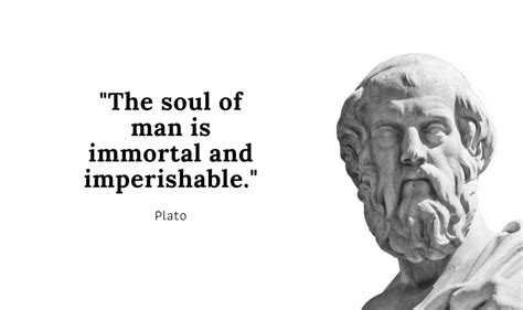 Plato: 50+ Powerful Quotes from the Dialogues - Nirvanic Insights