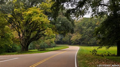 Natchez Trace Parkway | PARK AT A GLANCE