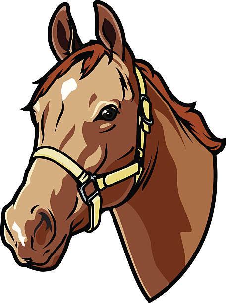 clip art horse face 20 free Cliparts | Download images on Clipground 2024