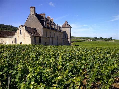 Clos de Vougeot, Burgundy | Tickets & Tours - 2024