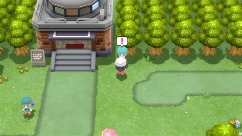 Route 213 - Pokemon Diamond, Pearl and Platinum Guide - IGN