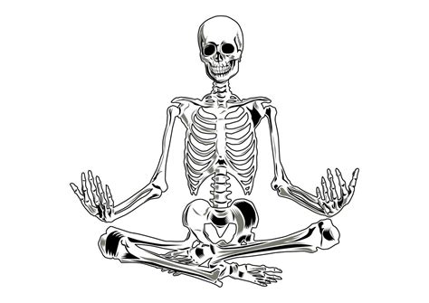 Vector skeleton in yoga position. 21995214 Vector Art at Vecteezy