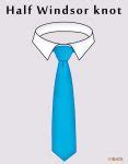 How to Tie a Half Windsor Knot? Variations, Tips & Video Steps