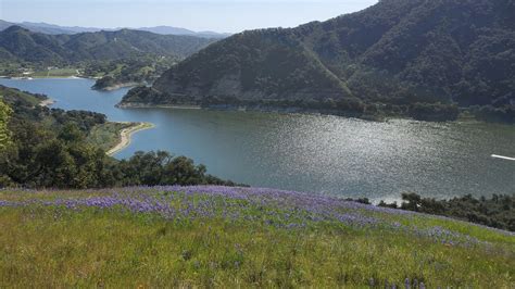 We're Open: Lopez Lake Marina in Arroyo Grande reopens for weekend