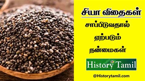 Chia Seeds Benefits In Tamil - சியா விதைகள் சாப்பிடுவதால் ஏற்படும் நன்மைகள்