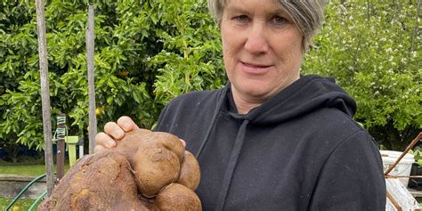 New Zealand Couple Unearth What Could Be the World's Largest Potato ...