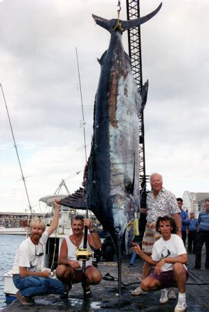 Photos of Atlantic Blue Marlin (including World Records) - page 1