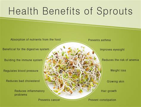 health benefits of sprouts : u/pulsepharmacy