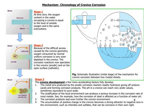 PPT - CHAPTER 3 FORMS OF CORROSION PowerPoint Presentation, free download - ID:2978414