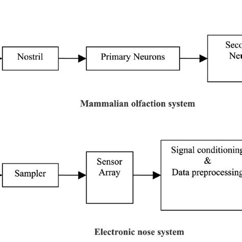 Electronic Nose System | Download Scientific Diagram