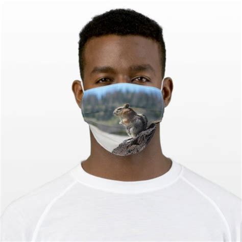 Chipmunk face mask | Zazzle