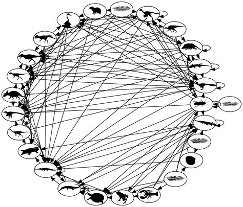 Food Webs Before the Impact | California Academy of Sciences