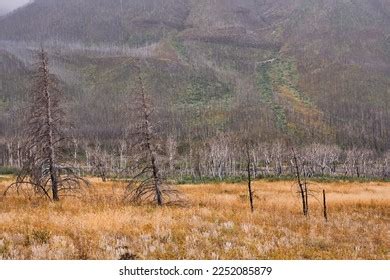 894 Forest Fires Alberta Images, Stock Photos & Vectors | Shutterstock