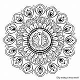 Peacock Mandala Coloring Pages  Free & Printable sketch template