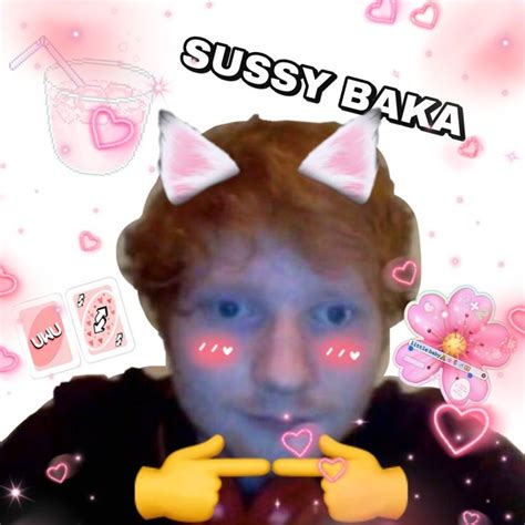 Ed Sheeran uwu | Anime funny, Funny memes, Really funny pictures