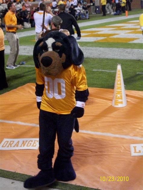 Volunteers mascot Smokey has a fixture on the Tennessee sidelines for decades, proudly sporting ...