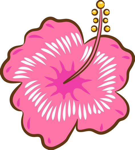 Hibiscus Png Graphic Clipart Design 19152518 Png - vrogue.co