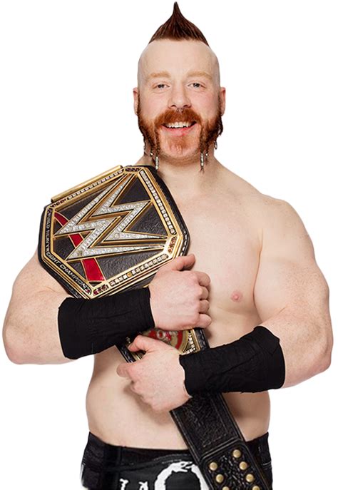 Sheamus WWE World Heavyweight Champion 2015 by Nibble-T on DeviantArt