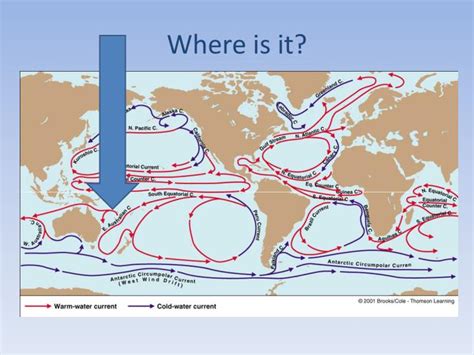 PPT - East Australian Current (the EAC) PowerPoint Presentation - ID:3093613