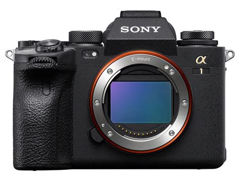 Sony A1, la cámara superlativa que pocos podrán comprar - PHOTOLARI