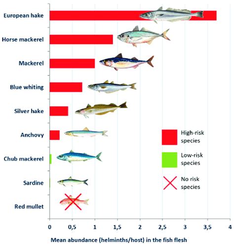 Scientific Classification Of Fish