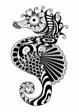 Free Zentangle Coloring Pages Seahorse  CadenecGutierrez sketch template