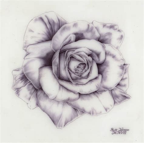 Rose Drawing | 3D Drawing