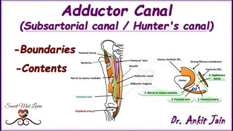 Adductor Canal