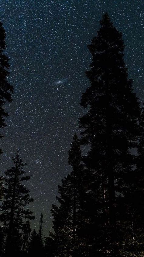 #forest #sky #night #stars #nature | Langit malam, Fotografi alam, Langit