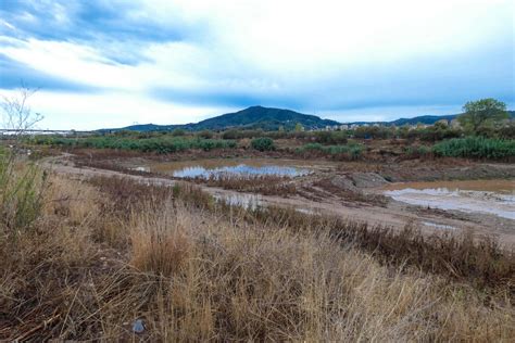 Llobregat river very close to its mouth in the mediterranean sea near ...