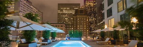 Pet-Friendly Hotels Downtown Houston | The Laura Hotel, Houston Downtown