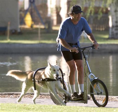 The Greatest (And Most Surprising) Form of Dog Transportation...Ever