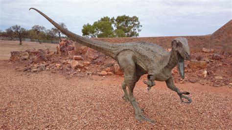 Do You Know About Australia's Unique Dinosaurs? Article by Sandra Bennett