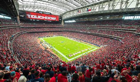 Houston Texans - Stadium Dude