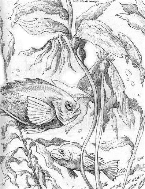 Underwater Pencil Drawing at GetDrawings | Free download