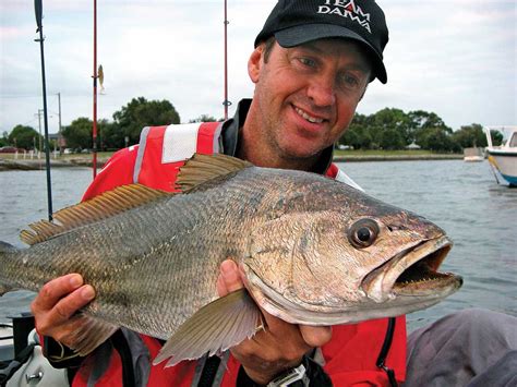 Mulloway Masters: How do they do it ? - AFN Fishing & Outdoors